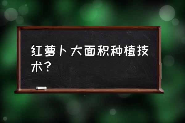 红萝卜种植时间及方法 红萝卜大面积种植技术？