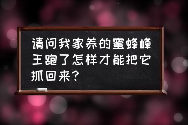 跑了的蜜蜂怎么找回来 请问我家养的蜜蜂峰王跑了怎样才能把它抓回来？