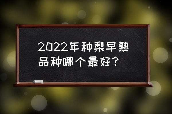 翠冠梨移植后几年丰产 2022年种梨早熟品种哪个最好？