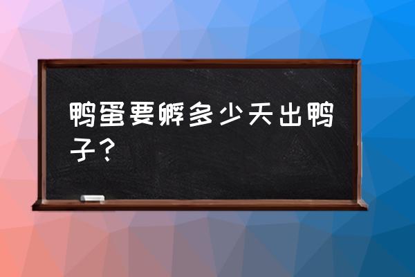 怎么判断鸭蛋孵化期间是否成功 鸭蛋要孵多少天出鸭子？