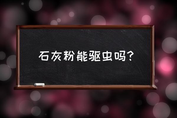 猫咪驱虫烧伤了怎么办 石灰粉能驱虫吗？