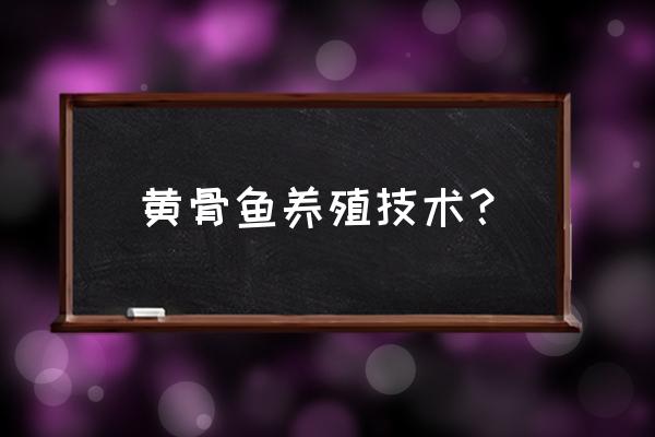 养殖黄颡鱼应注意什么 黄骨鱼养殖技术？