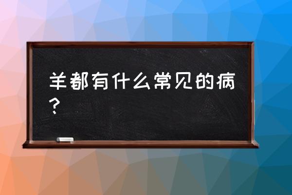 绵羊羊痘初期什么症状 羊都有什么常见的病？