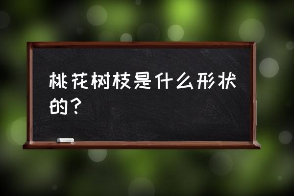 怎么画最简单的桃花树枝 桃花树枝是什么形状的？