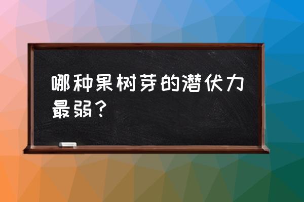 梨树和桃树哪个长得快 哪种果树芽的潜伏力最弱？