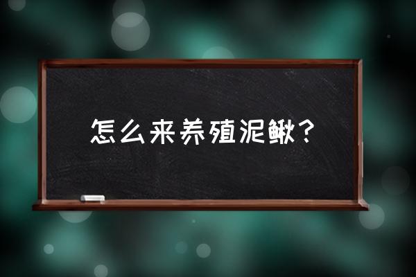 泥鳅养殖应该注意事项 怎么来养殖泥鳅？