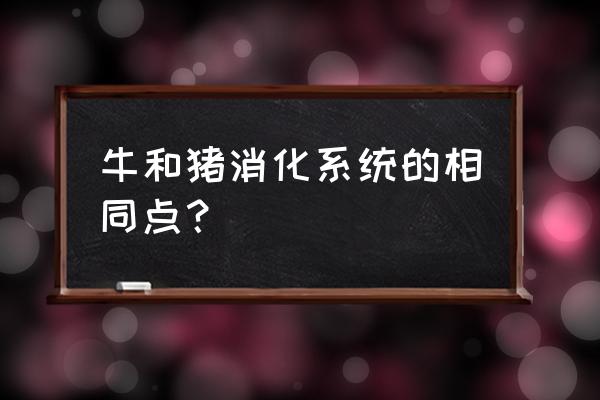 猪消化不良最快的解决方法 牛和猪消化系统的相同点？