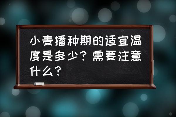 小麦生长需要什么气候和条件 小麦播种期的适宜温度是多少？需要注意什么？