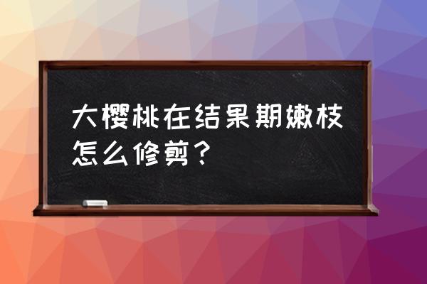 樱桃结果后怎么修剪 大樱桃在结果期嫩枝怎么修剪？