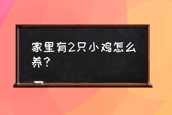 在家养小鸡有什么技巧 家里有2只小鸡怎么养？