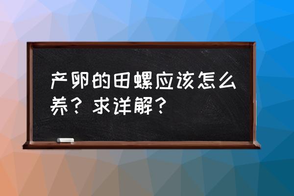 买回来的螺蛳怎么养 产卵的田螺应该怎么养？求详解？