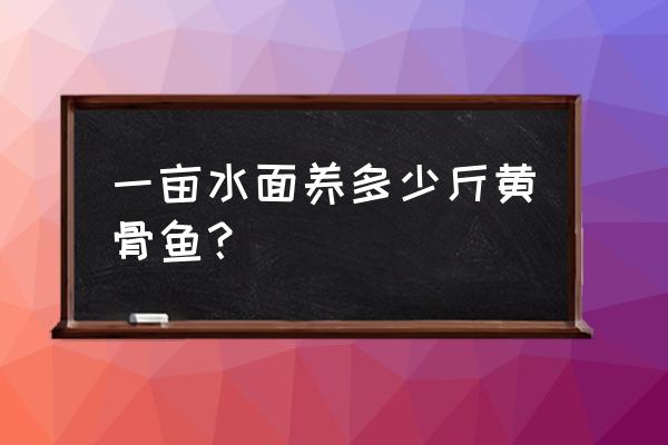 黄颡鱼多大的苗好 一亩水面养多少斤黄骨鱼？