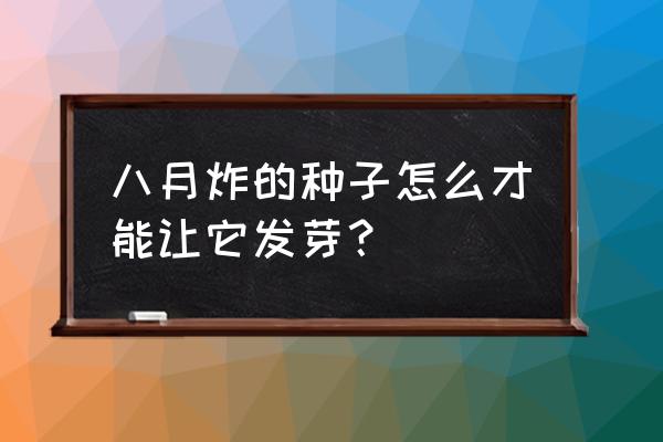 八月瓜的籽能种出来吗 八月炸的种子怎么才能让它发芽？