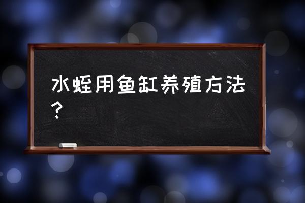 水蛭养殖最新技术 水蛭用鱼缸养殖方法？