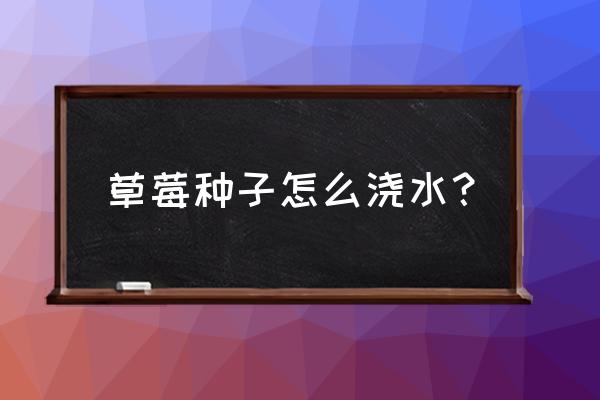 草莓什么时间浇水最好 草莓种子怎么浇水？