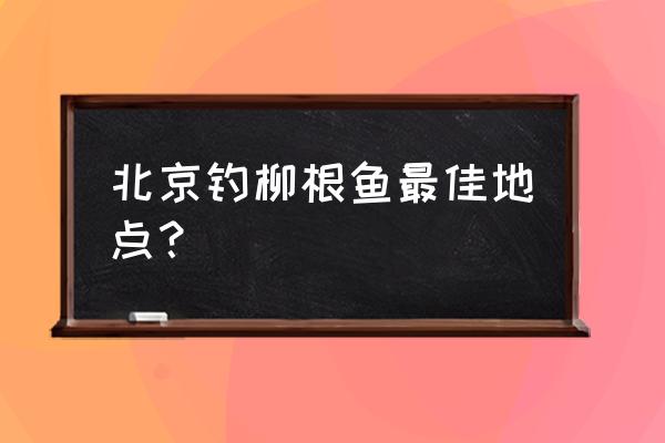 黑坑钓柳根鱼用什么饵料最好 北京钓柳根鱼最佳地点？