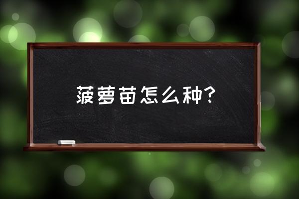 家庭种植菠萝的方法 菠萝苗怎么种？