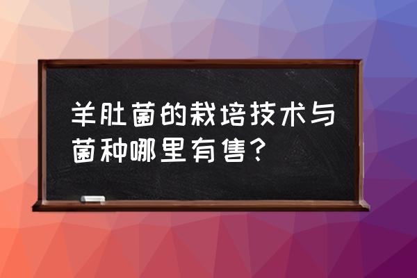 羊肚菌制作液体菌种方法 羊肚菌的栽培技术与菌种哪里有售？