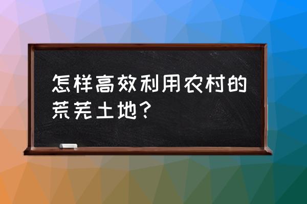 在农村的土地上怎么赚钱 怎样高效利用农村的荒芜土地？