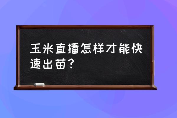 卖玉米直播怎么开通 玉米直播怎样才能快速出苗？