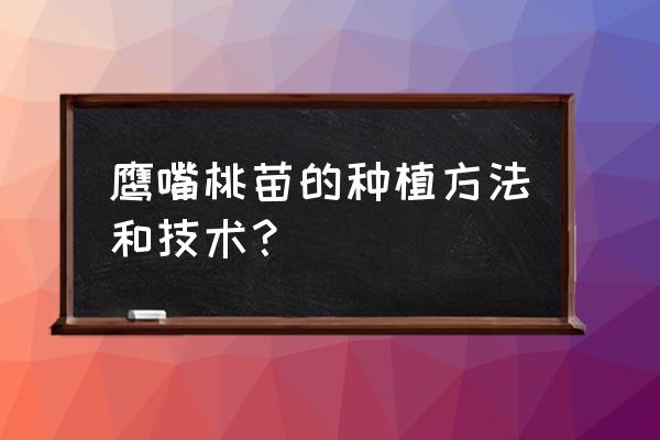 教你最简单便捷的种植方法 鹰嘴桃苗的种植方法和技术？