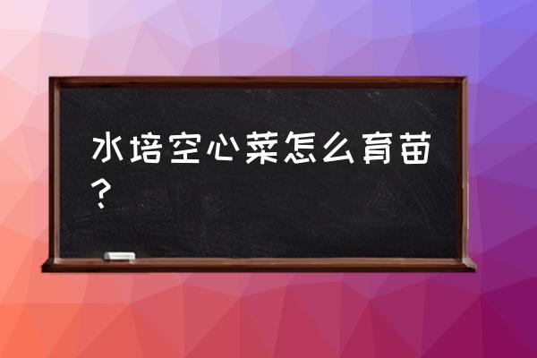 空心菜大棚无土水培种植方法 水培空心菜怎么育苗？