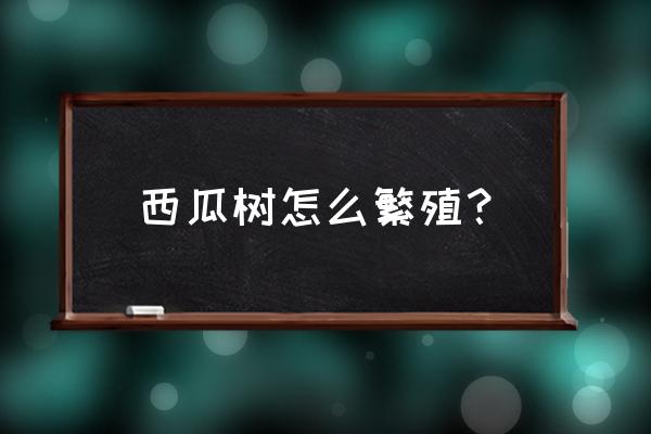 种植袋种西瓜怎么种 西瓜树怎么繁殖？