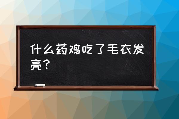 治鸡皮肤的药膏叫什么 什么药鸡吃了毛衣发亮？