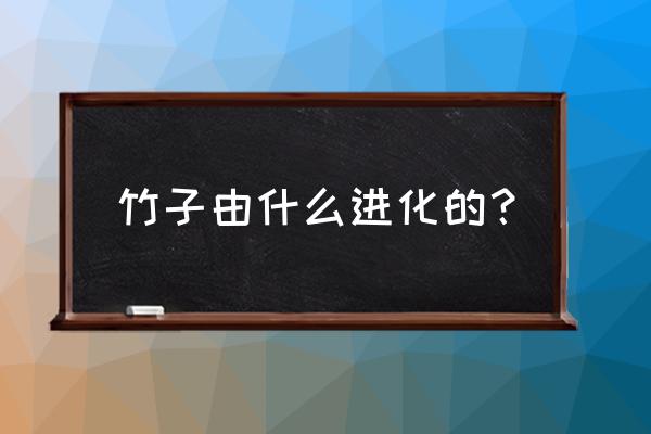 水稻经过几次进化 竹子由什么进化的？