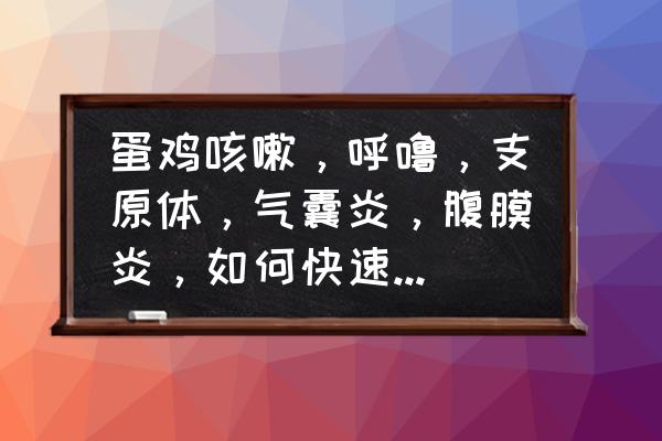 蛋鸡养殖100天出现了禽流感怎么办 蛋鸡咳嗽，呼噜，支原体，气囊炎，腹膜炎，如何快速控制病情呢？