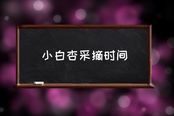 杏子摘早了怎样放熟 小白杏采摘时间