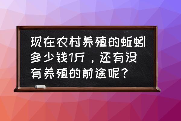 养蚯蚓一亩地要投资多少钱 现在农村养殖的蚯蚓多少钱1斤，还有没有养殖的前途呢？