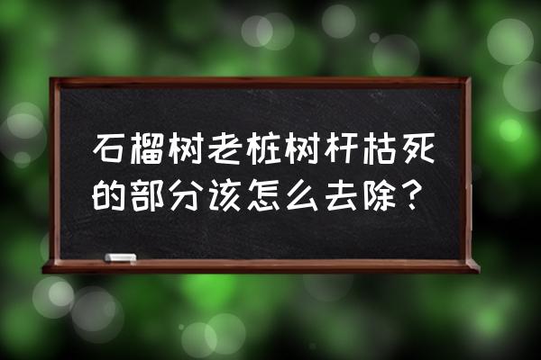 石榴树冻死了根再冒芽怎么修理 石榴树老桩树杆枯死的部分该怎么去除？