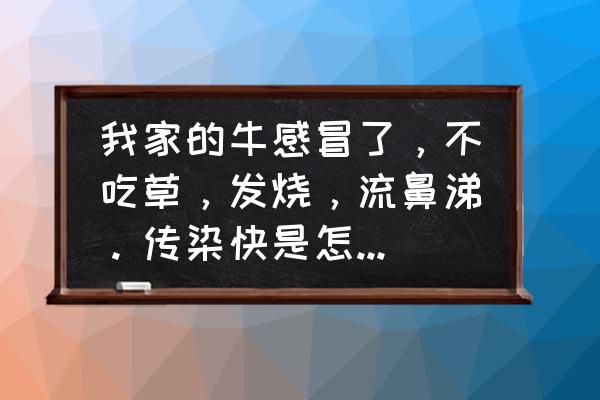 阿莫西林可以喂牛吗 我家的牛感冒了，不吃草，发烧，流鼻涕。传染快是怎么回事？