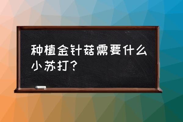 金针菇根怎么种出金针菇 种植金针菇需要什么小苏打？