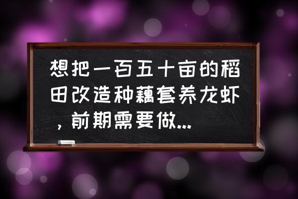 藕田消毒的最好方法 想把一百五十亩的稻田改造种藕套养龙虾，前期需要做什么准备工作？