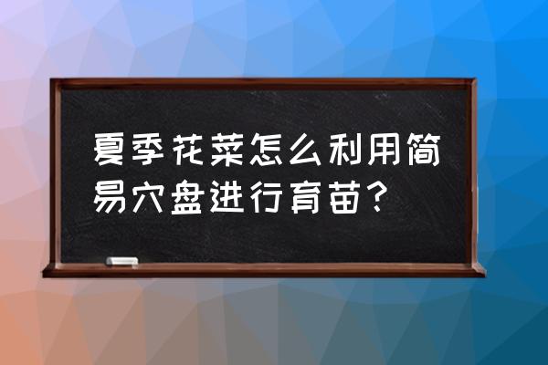 菜苗的育苗是怎样做的 夏季花菜怎么利用简易穴盘进行育苗？