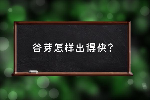 稻谷发芽最简单的方法 谷芽怎样出得快？