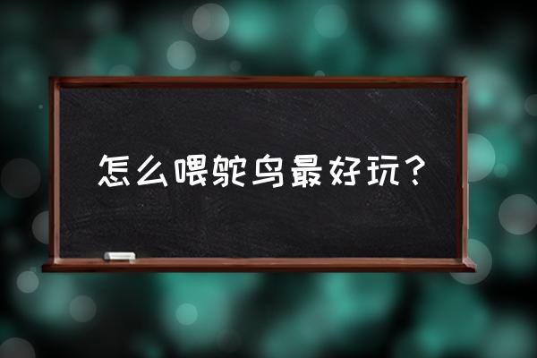 鸵鸟最好的办法是怎么养 怎么喂鸵鸟最好玩？