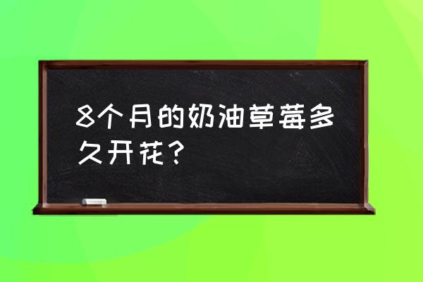 奶油草莓好种植吗 8个月的奶油草莓多久开花？