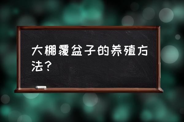 掌叶覆盆子的追肥方法 大棚覆盆子的养殖方法？