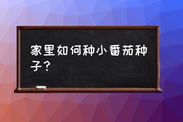 小番茄种子盆栽 家里如何种小番茄种子？