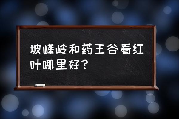 药王谷一日游自由行 坡峰岭和药王谷看红叶哪里好？