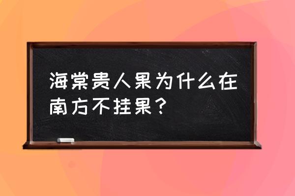 贵人果广东能不能盆栽种植 海棠贵人果为什么在南方不挂果？