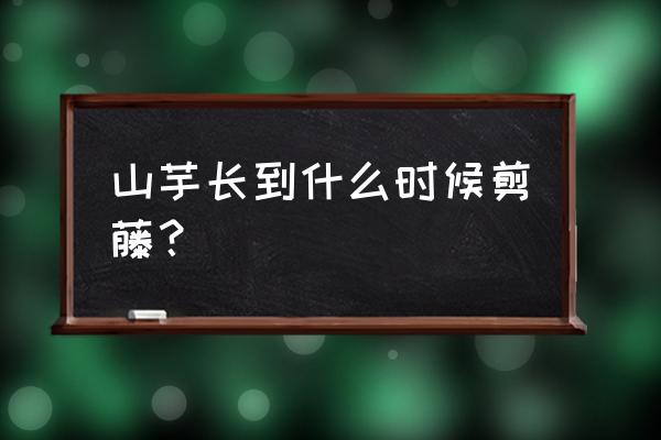 番薯藤怎么炒粉干 山芋长到什么时候剪藤？