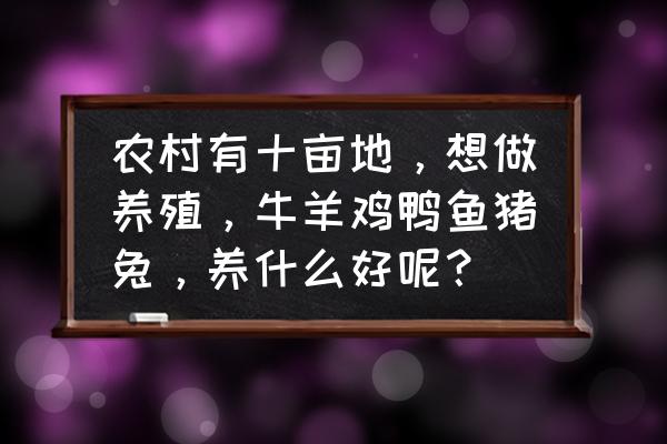 在家小本钱养什么赚钱 农村有十亩地，想做养殖，牛羊鸡鸭鱼猪兔，养什么好呢？