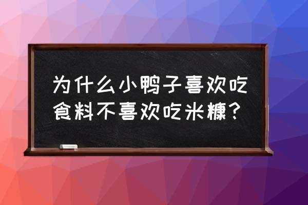 丫鸭梦想家饲料怎么获取 为什么小鸭子喜欢吃食料不喜欢吃米糠？