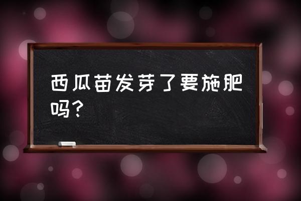 吃完西瓜的种子怎么处理才能种 西瓜苗发芽了要施肥吗？