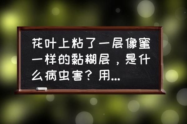 花的病害及防治方法 花叶上粘了一层像蜜一样的黏糊层，是什么病虫害？用什么药能防治？