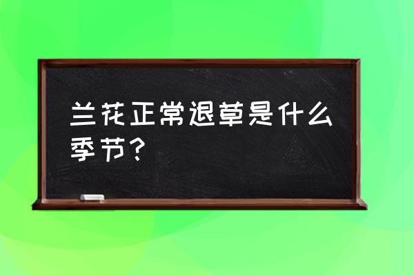 香樟树如何消灭蚧壳虫 兰花正常退草是什么季节？